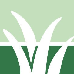 Yard Weeds Treatment Pros