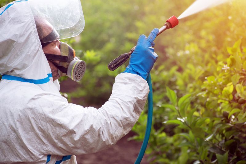 Increase Your Yard Weeds Treatment Business with an AI Driven, Targeted Website