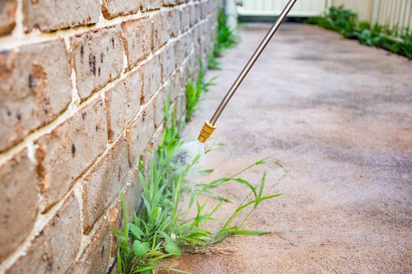 Weed Killing Service - Weed Killing Service Meridian, Idaho