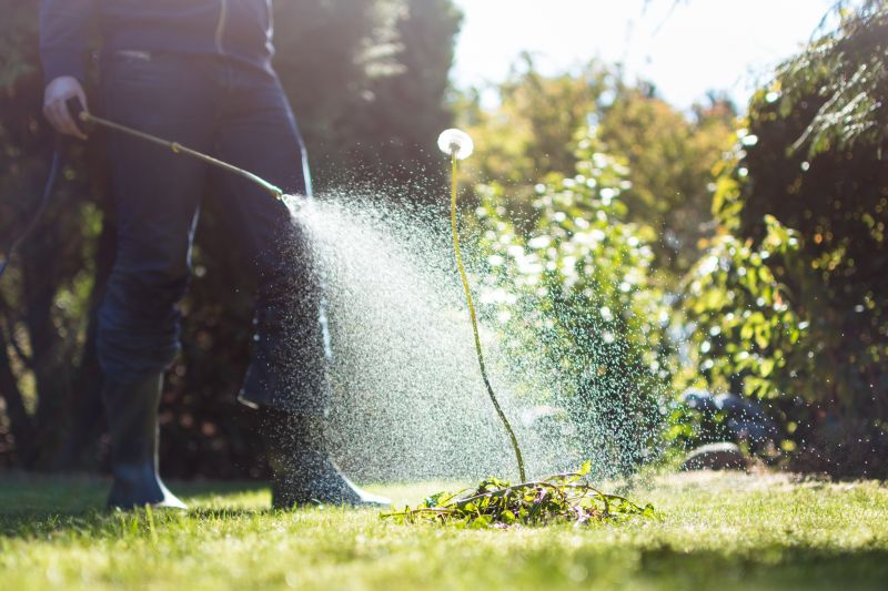 Yard Weeds Treatment