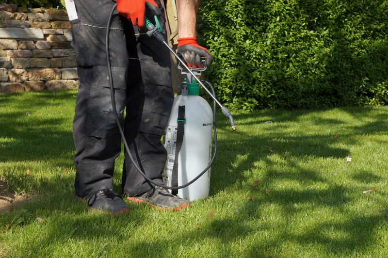 Yard Weeds Treatment