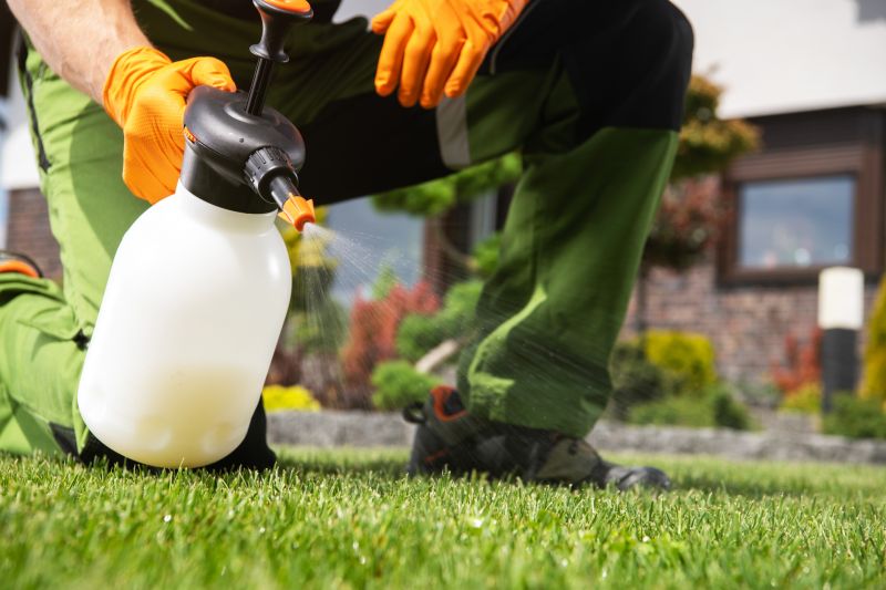 Yard Weeds Treatment