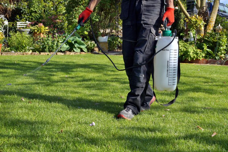 Lawn Care Consultation