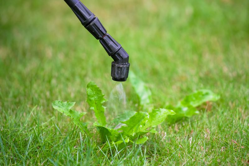 Yard Weeds Treatment