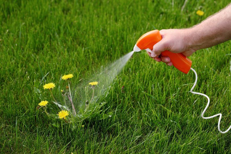 Yard Weeds Treatment