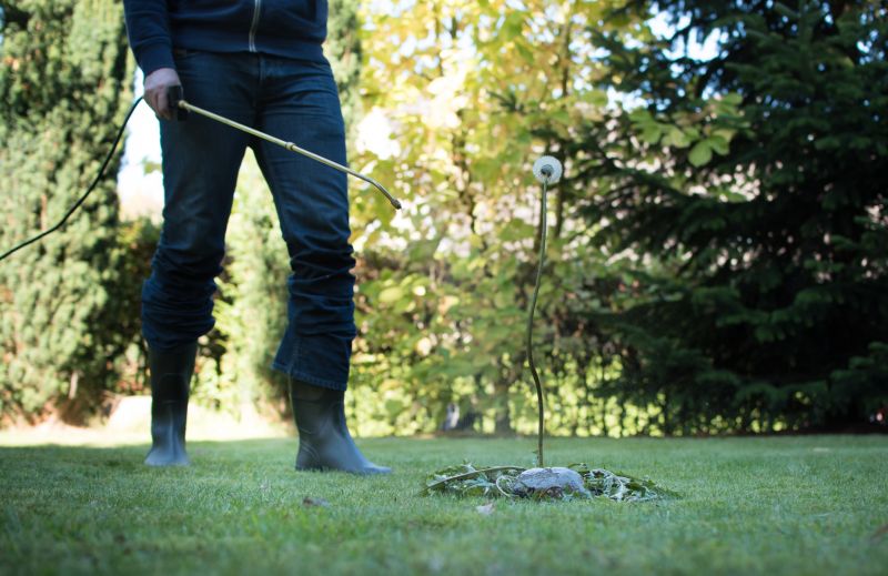 Yard Weeds Treatment